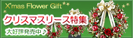 �N���X�}�X�E�t�����[�M�t�g���W