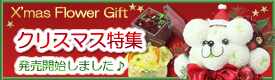 �N���X�}�X�E�t�����[�M�t�g���W
