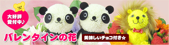 �o�����^�C���̉ԓ��W��