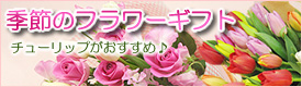 �G�߂̃t�����[�M�t�g
