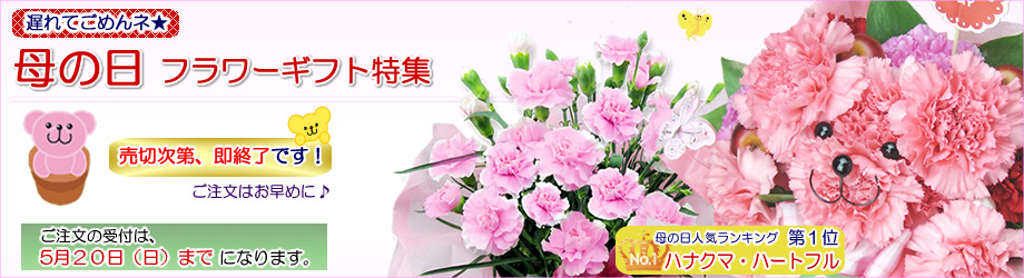 ��̓��t�����[�M�t�g���W