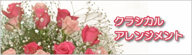 �X�^���_�[�h�ȃt�����[�M�t�g