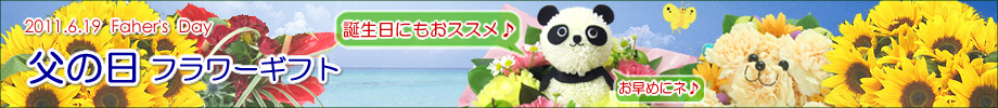 ���̓��t�����[�M�t�g���W