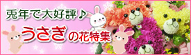 �e�N�ő�D�]�􂤂����̉ԓ��W