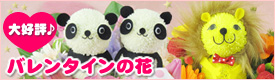 �o�����^�C���̉ԓ��W