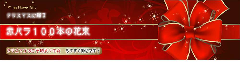 赤バラ100本の花束