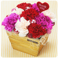 �R�F�̃J�[�l�[�V�������N�₩�ȁA ��̓��̃v���[���g�ɂ҂������ �t�����[�A�����W�����g�B ���ꂳ��ւ̈��銴�ӂ̋C������ �`���܂��B