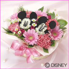 �f�B�Y�j�[�t�����[�f�h�e�s�@�~�b�L�[���~�j�[