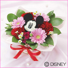 �f�B�Y�j�[�t�����[�f�h�e�s�@�~�b�L�[