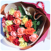 �o���̉ԑ��l�h�w30�{