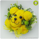 �C�k�|���E�C�G���[�i�v���U�[�u�h�j