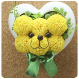 �v���U�[�u�h�t�����[�@�|���|���N�}�E�C�F����