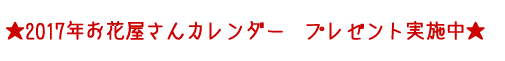 2017年お花屋さんカレンダー プレゼント実施中