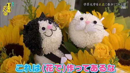 花ネコmini