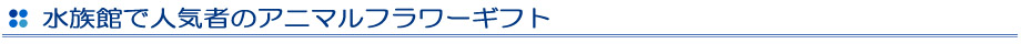 水族館のフラワーギフト