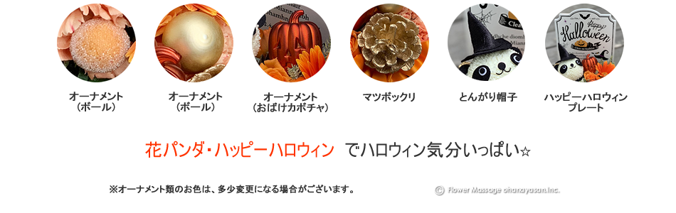 花パンダ ハッピーハロウィン かわいい動物フラワーギフト