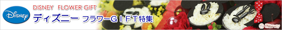 ミッキー&ミニーの花・ディズニーフラワーギフト特集