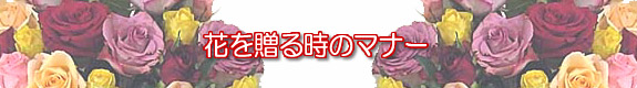 Ԃ𑡂鎞̃}i[