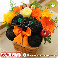 オレンジの花ネコ （黒猫）