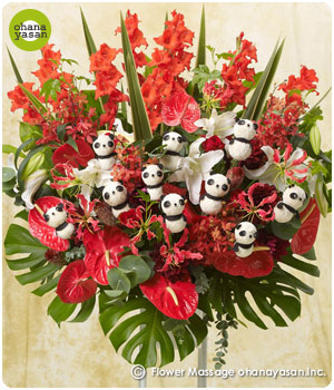 お花屋さんの花パンダ特集 パンダのフラワーギフト プレゼント