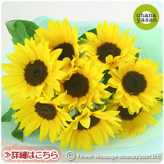夏の定番商品!ひまわりの花束