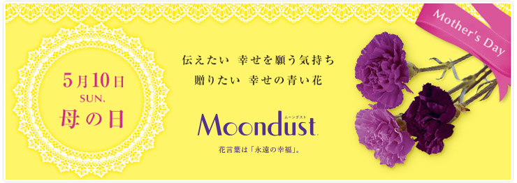 ムーンダストのアレンジメント 母の日の花 青カーネーションはお花屋さん ムーンダストのアレンジメント 母の日の花 青カーネーションはお花屋さん