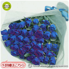 青バラ50本花束