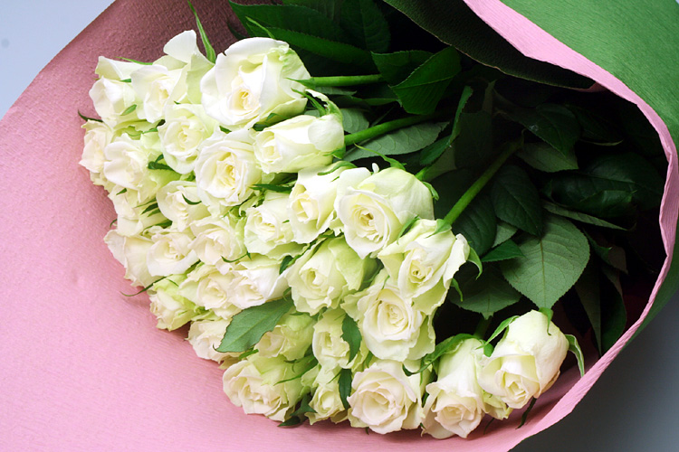 白バラ100本花束 舞台発表会やライブお祝いのバラ花束はお花屋さん