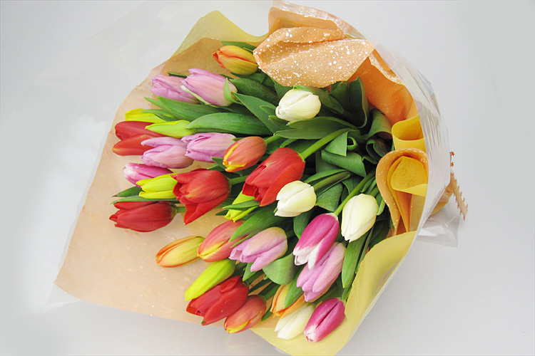 チューリップの花束MIX30本／赤白ピンク黄色等カラフルな春の花束
