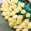 黄バラ50本花束