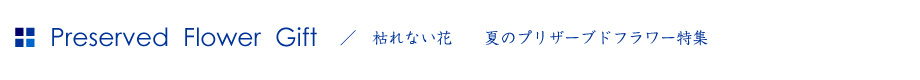 ͂Ȃԁ@vU[uht[W