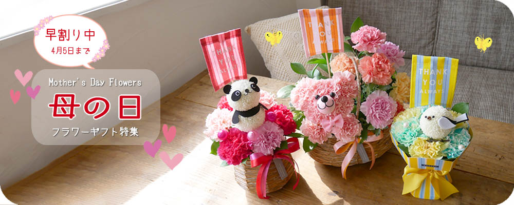 ��̓��t�����[�M�t�g���W