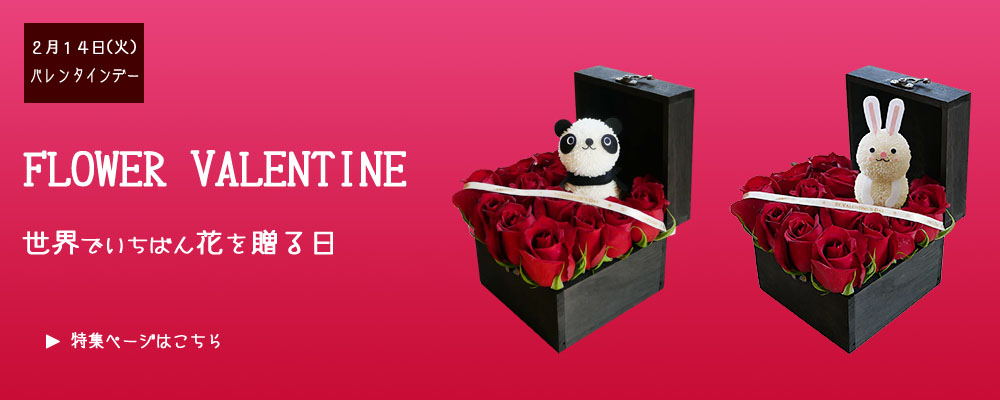 �o�����^�C���̃t�����[�M�t�g���W