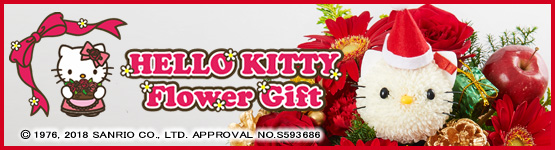 �n���[�L�e�B�̃t�����[�M�t�g