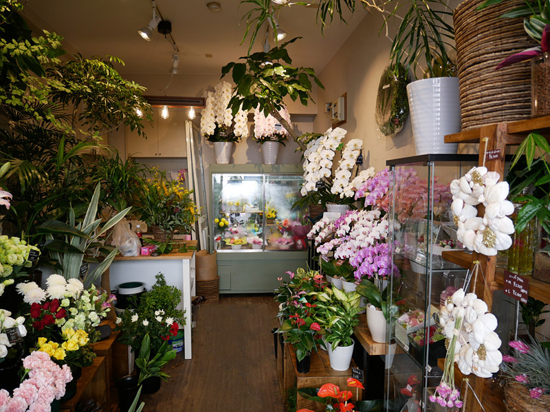 お花屋さん学芸大学駅前店がオープン 花パンダの看板が目印