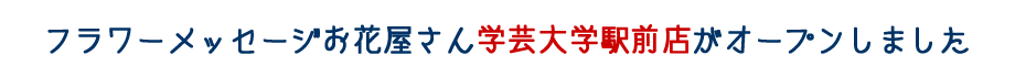 t[bZ[Wԉw|wwOXI[v