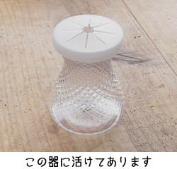 ���͂����̏�Ԃɂ���