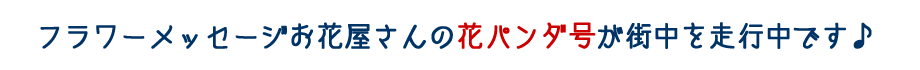 ԃp_X𑖍sł