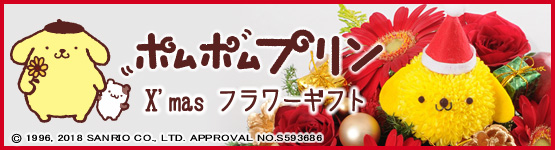 �|���|���v�����̃t�����[�A�����W