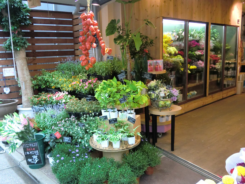 実店舗ご紹介 アクセス 東急東横線 学芸大学駅近くのお花屋さん