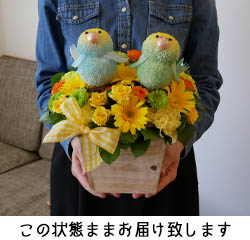 お届け時の状態について