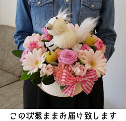 ���͂����̏�Ԃɂ���