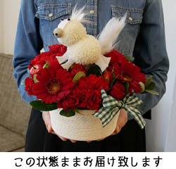 ���͂����̏�Ԃɂ���