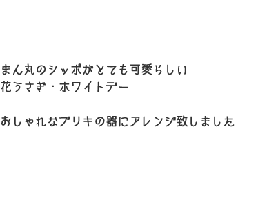 ホワイトデーのかわいい花 プレゼント お返しフラワーギフト